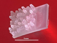 Micro-spuitgieten + 2PP µ-3D-printen = micro-onderdelen in 2 weken 